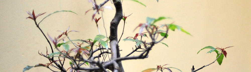 moments of excellence